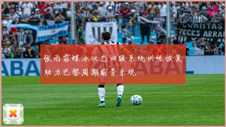 张雨霏蝶泳状态回暖系统训练恢复助力巴黎周期前景乐观